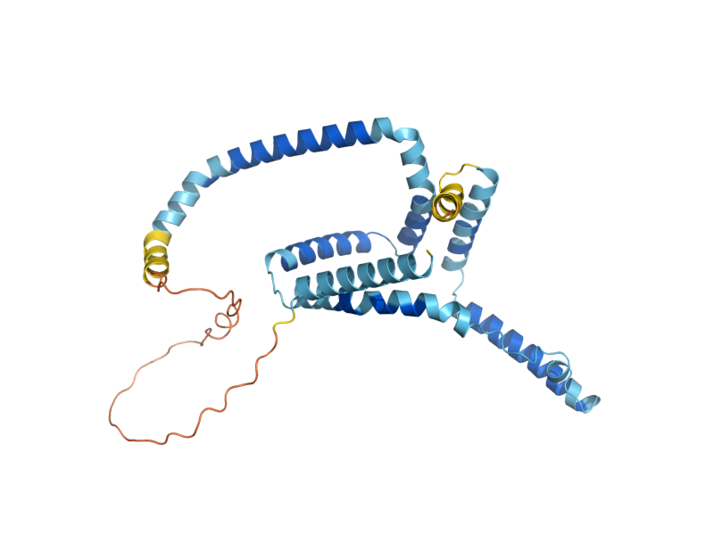 AlphaFold predicted structure of RTN1