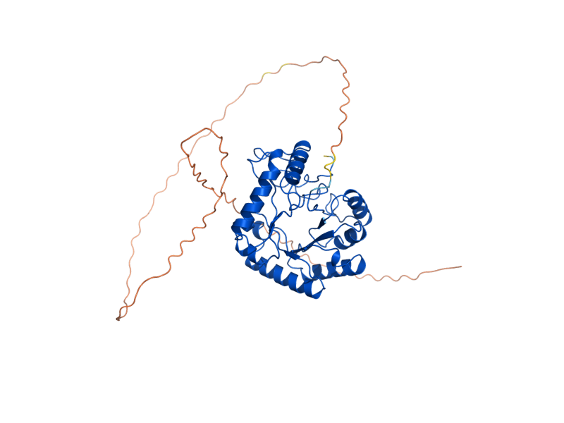 AlphaFold predicted structure of SCW10