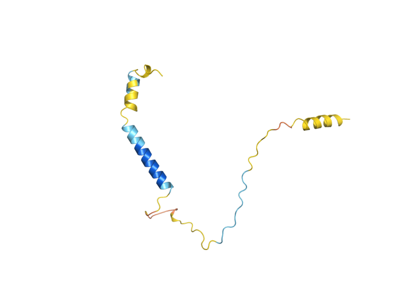 AlphaFold predicted structure of SML1