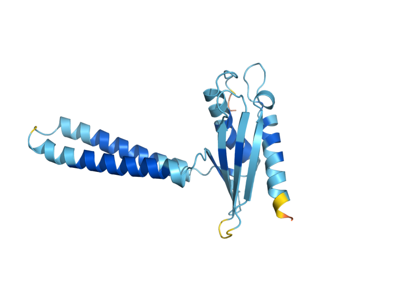 AlphaFold predicted structure of SPC2