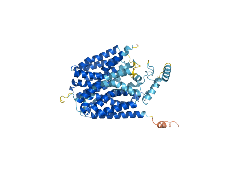 AlphaFold predicted structure of FMP42