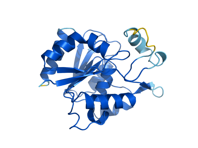 AlphaFold predicted structure of FSH2