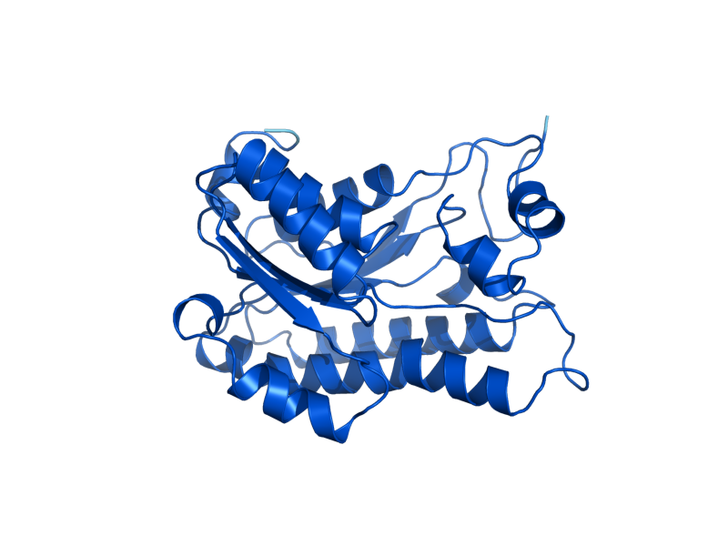 AlphaFold predicted structure of ORA1