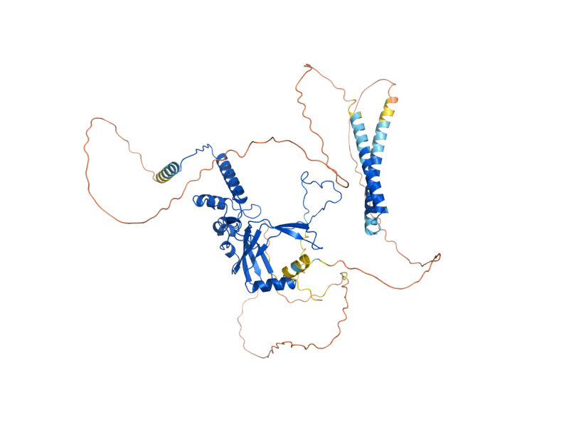 AlphaFold predicted structure of TAF7