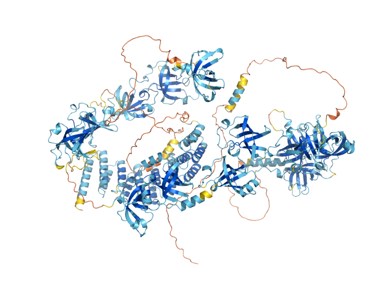AlphaFold predicted structure of RRP5