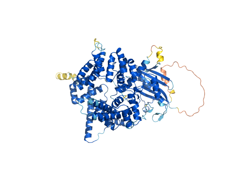 AlphaFold predicted structure of BCH1