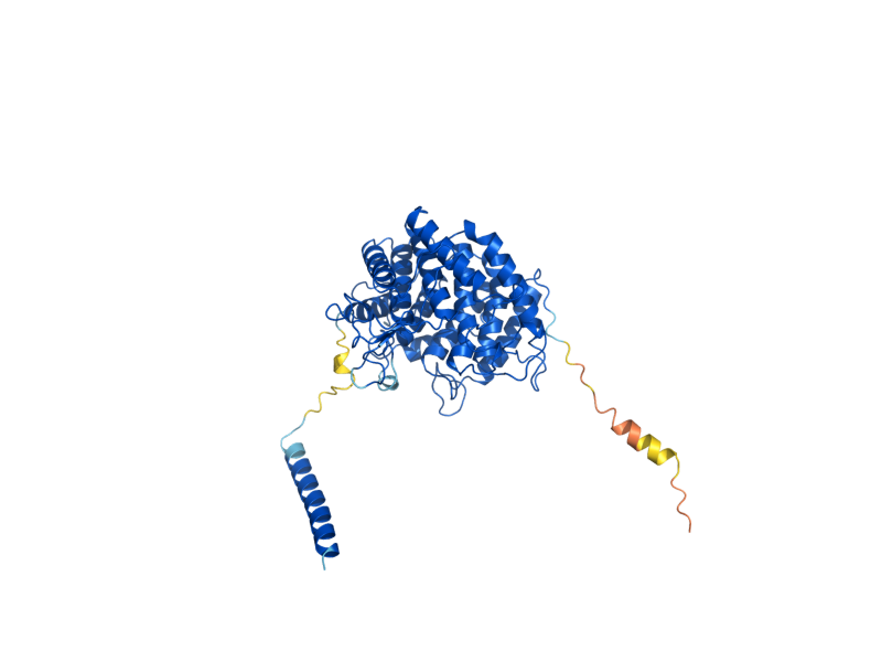 AlphaFold predicted structure of DFG5