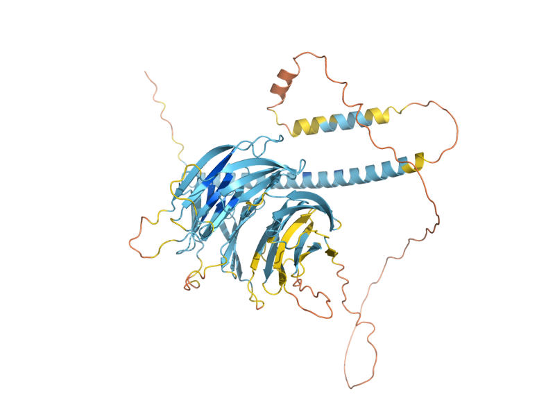 AlphaFold predicted structure of FAR8