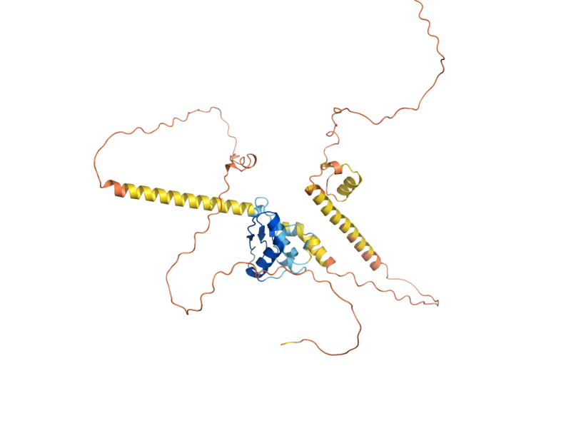 AlphaFold predicted structure of RSF1
