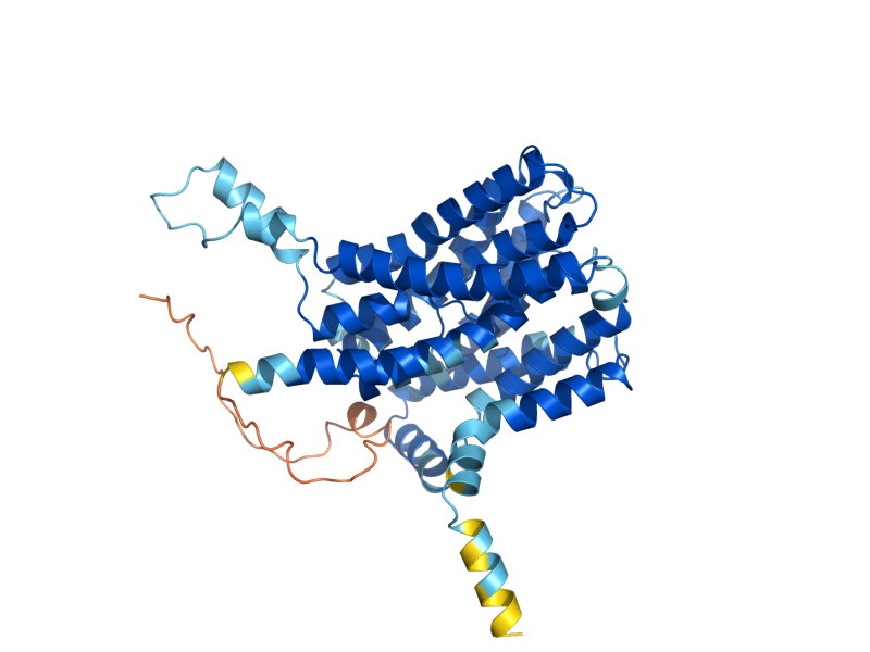 AlphaFold predicted structure of RCH1