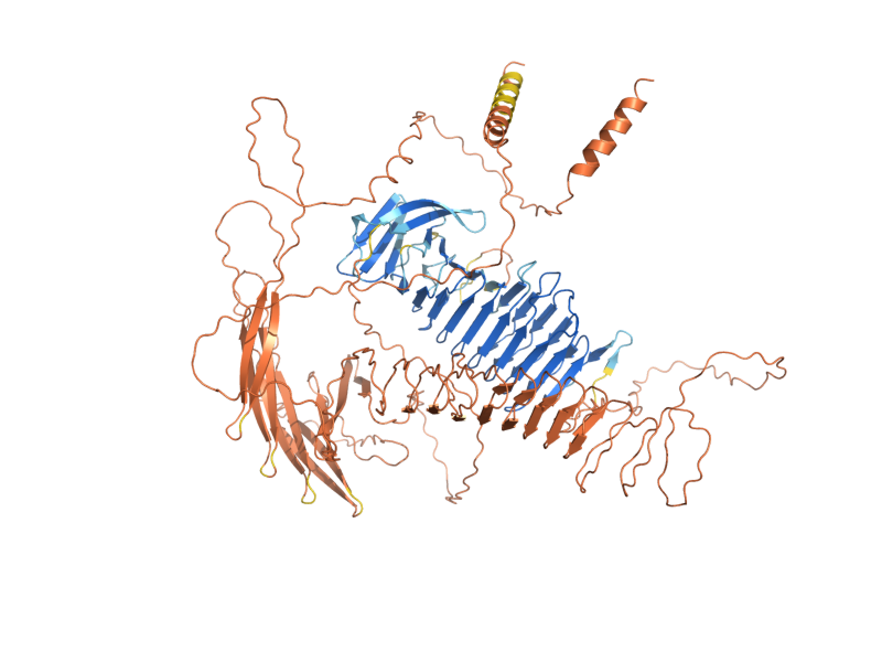 AlphaFold predicted structure of HPF1