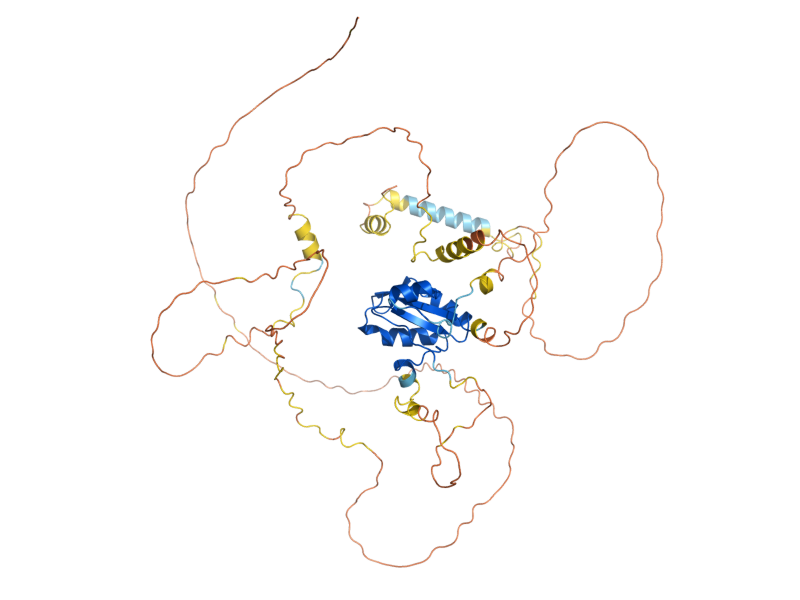 AlphaFold predicted structure of ASM4
