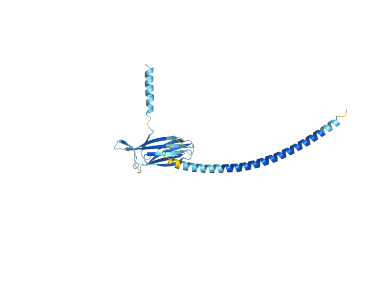 AlphaFold predicted structure of ERP1