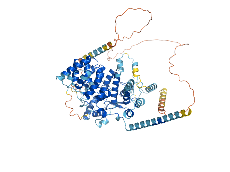 AlphaFold predicted structure of RQC1