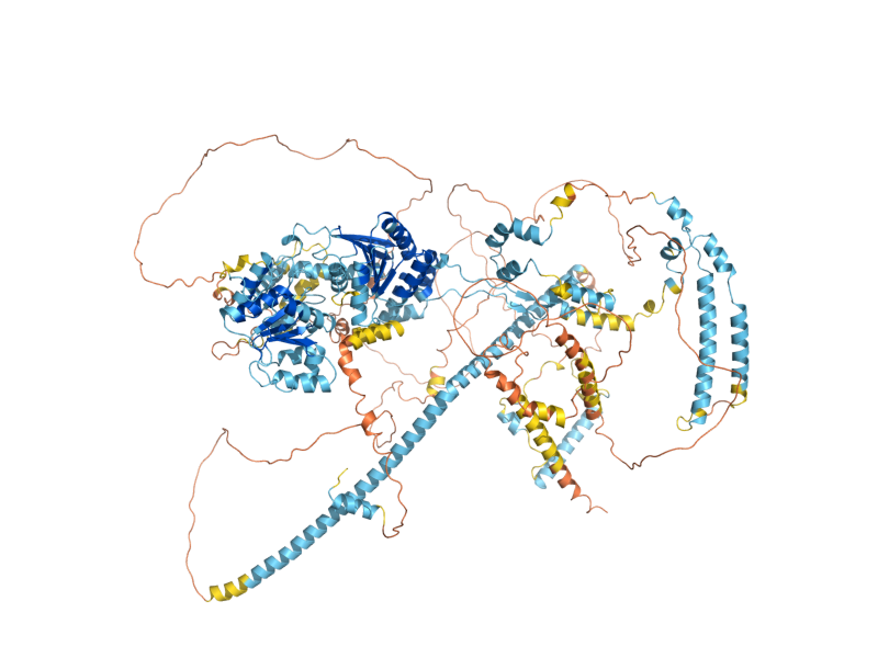 AlphaFold predicted structure of SWR1