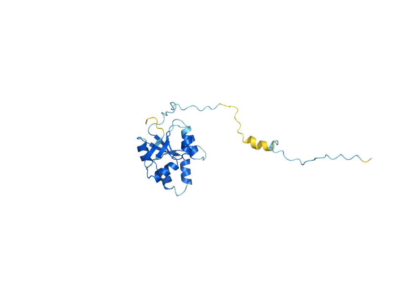 AlphaFold predicted structure of FCF1
