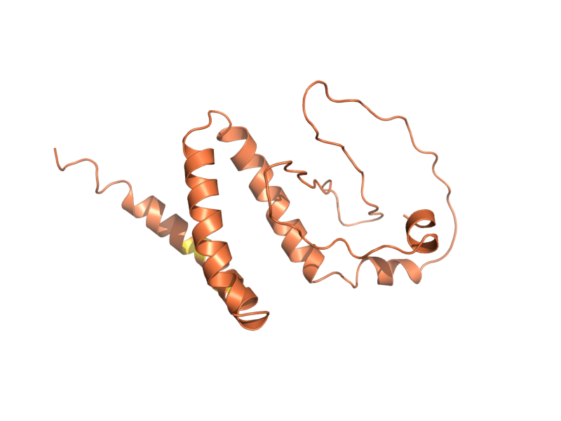 AlphaFold predicted structure of YDR344C