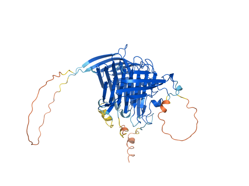 AlphaFold predicted structure of SVF1