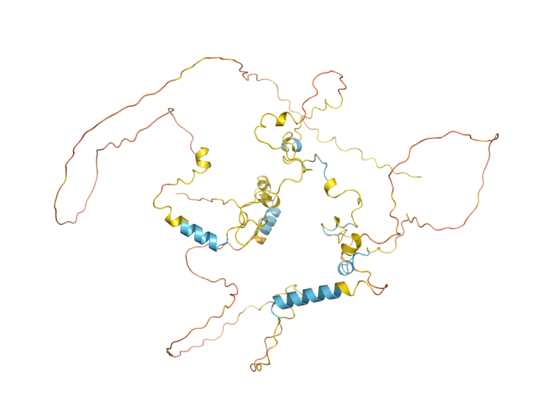 AlphaFold predicted structure of PAL1