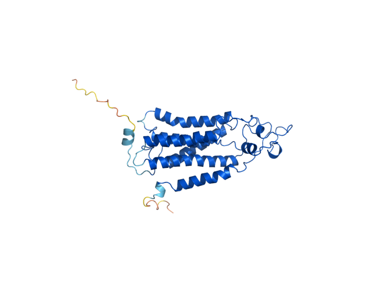 AlphaFold predicted structure of DPP1