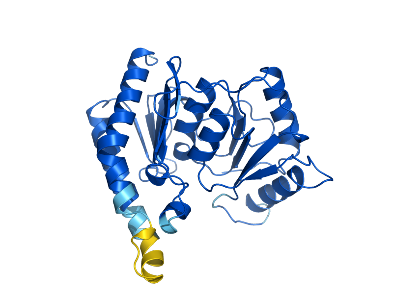 AlphaFold predicted structure of INM2