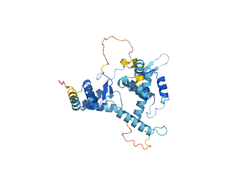 AlphaFold predicted structure of NSE3