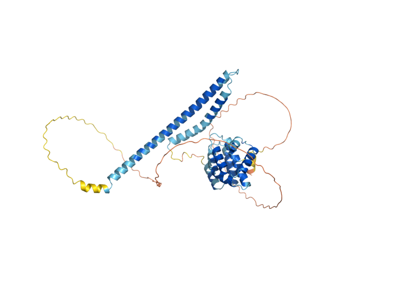 AlphaFold predicted structure of RTT103