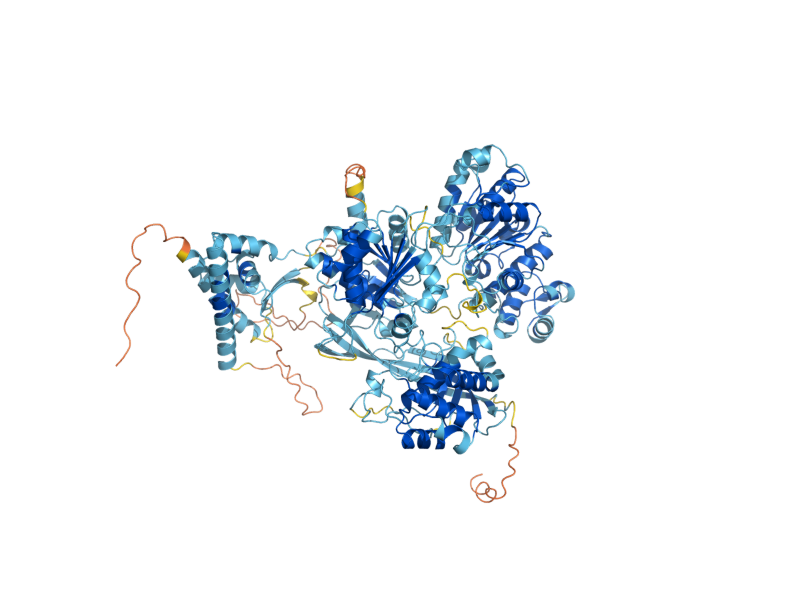 AlphaFold predicted structure of HRQ1