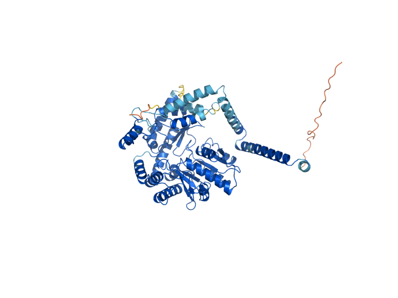 AlphaFold predicted structure of DPL1