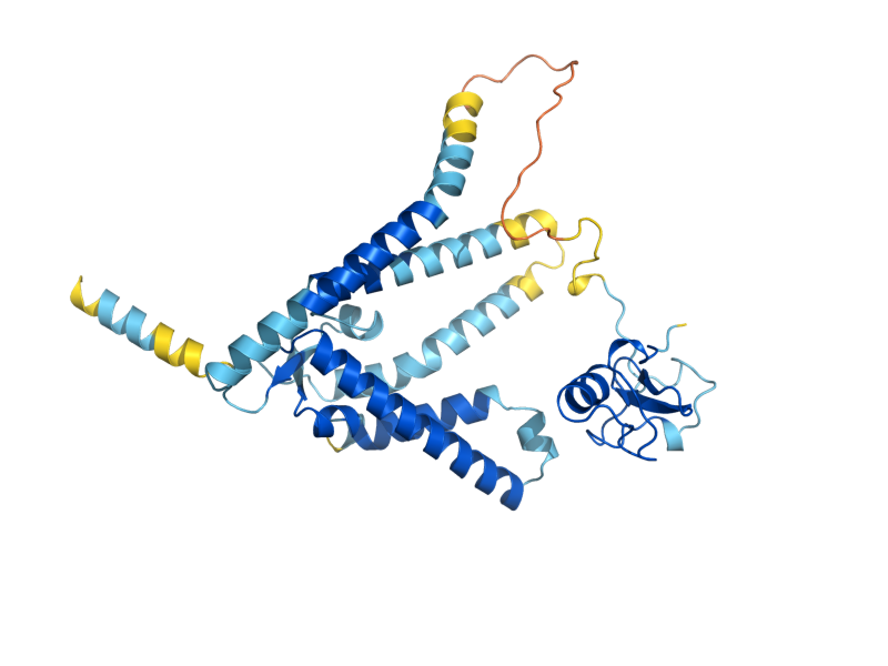 AlphaFold predicted structure of PEX10