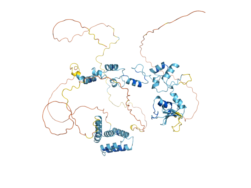 AlphaFold predicted structure of HEL2