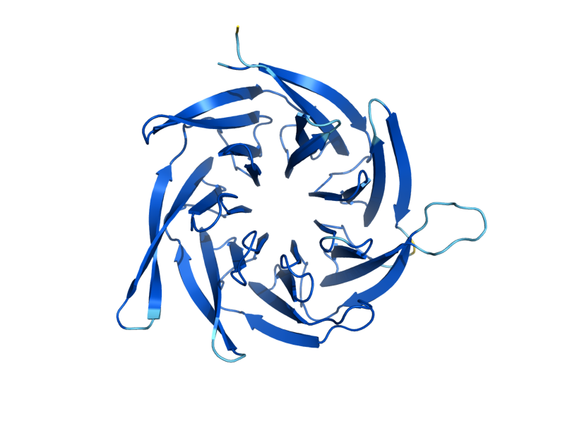 AlphaFold predicted structure of CIA1