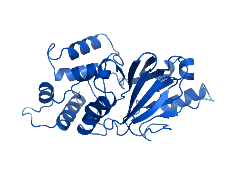 AlphaFold predicted structure of GLO2