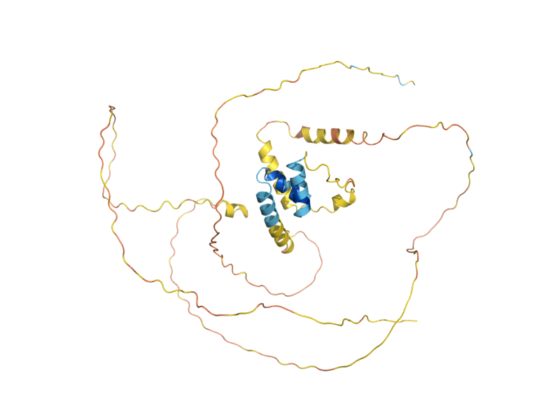 AlphaFold predicted structure of DON1