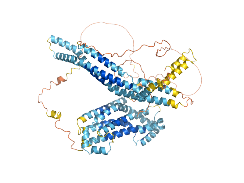 AlphaFold predicted structure of FUS2