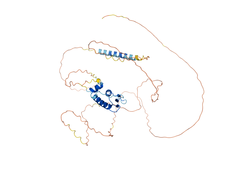 AlphaFold predicted structure of RBS1