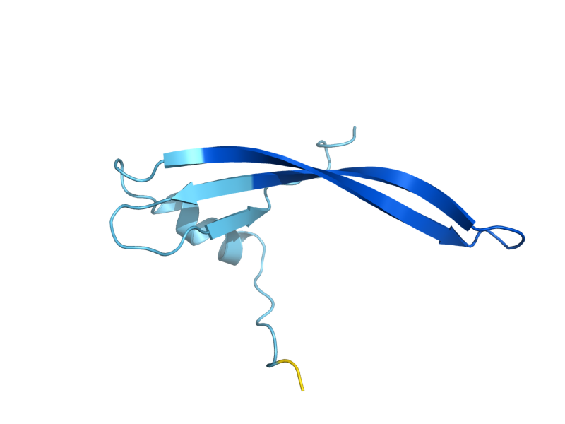 AlphaFold predicted structure of SOM1
