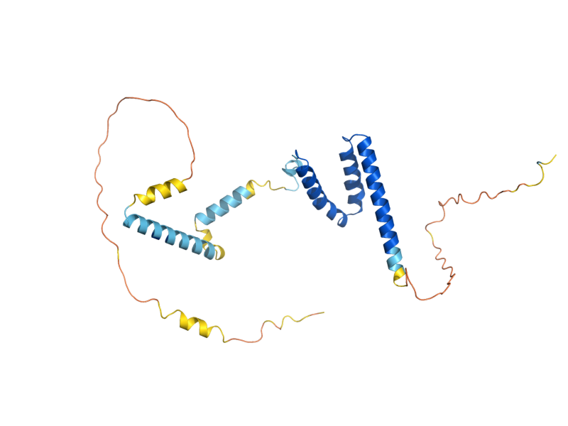 AlphaFold predicted structure of HCR1
