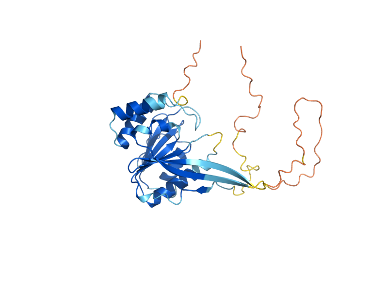 AlphaFold predicted structure of PBA1