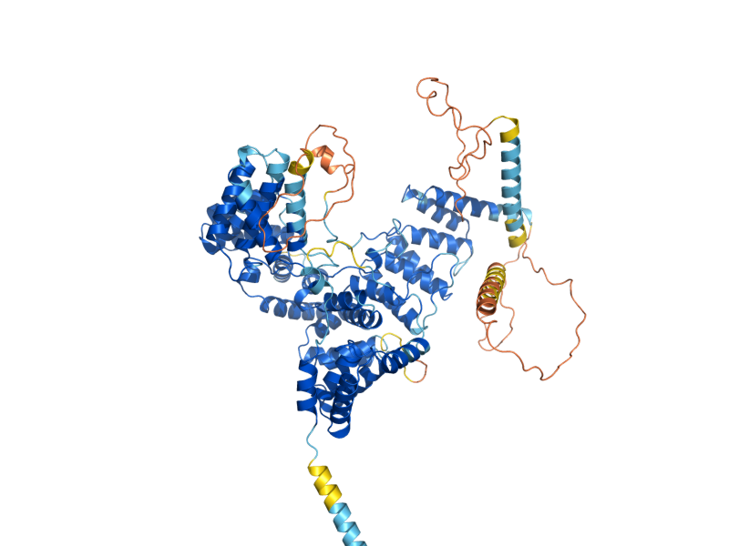 AlphaFold predicted structure of HRD3