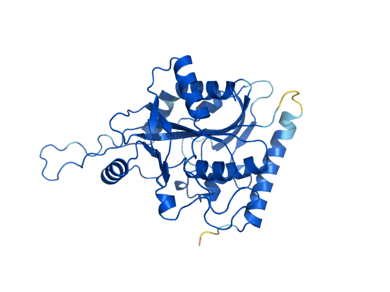 AlphaFold predicted structure of PNP1