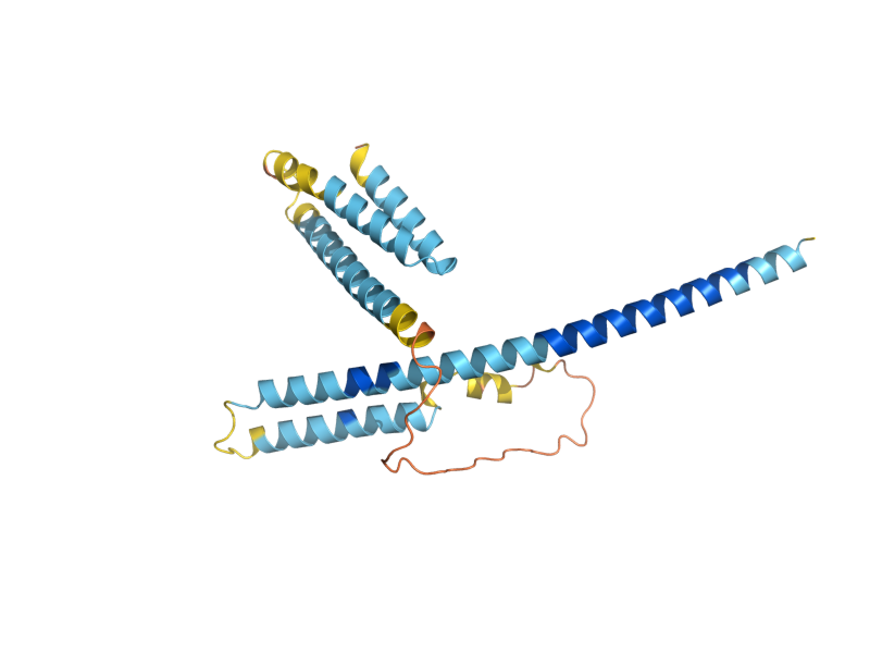 AlphaFold predicted structure of ATG38