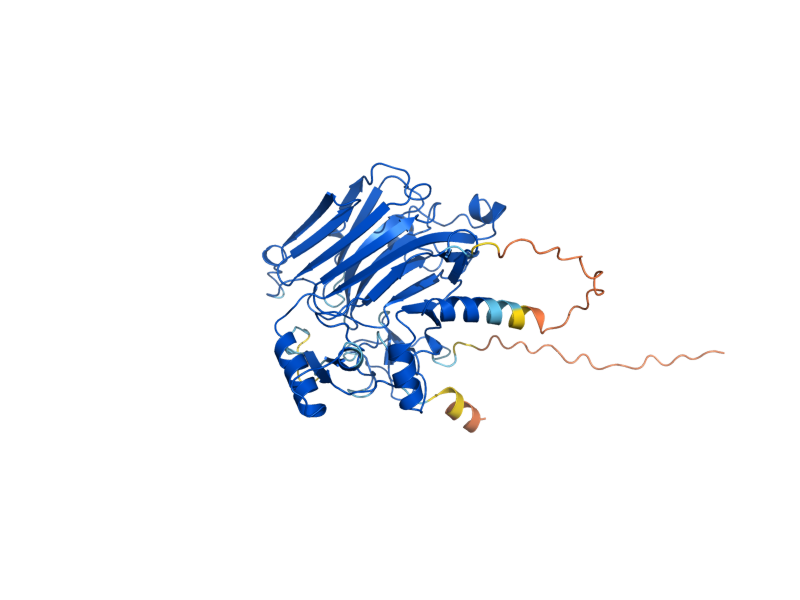 AlphaFold predicted structure of CRR1