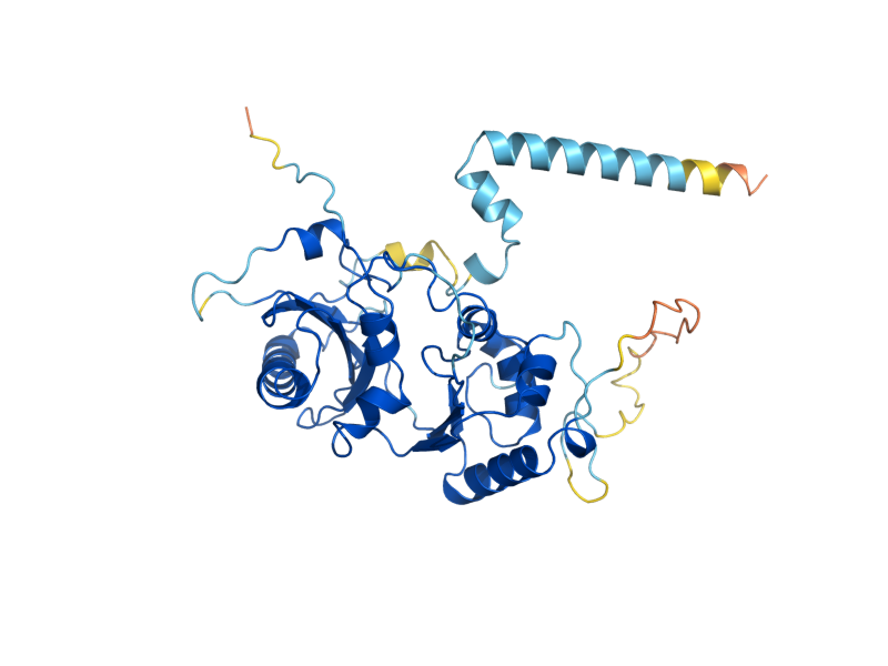 AlphaFold predicted structure of CDC123