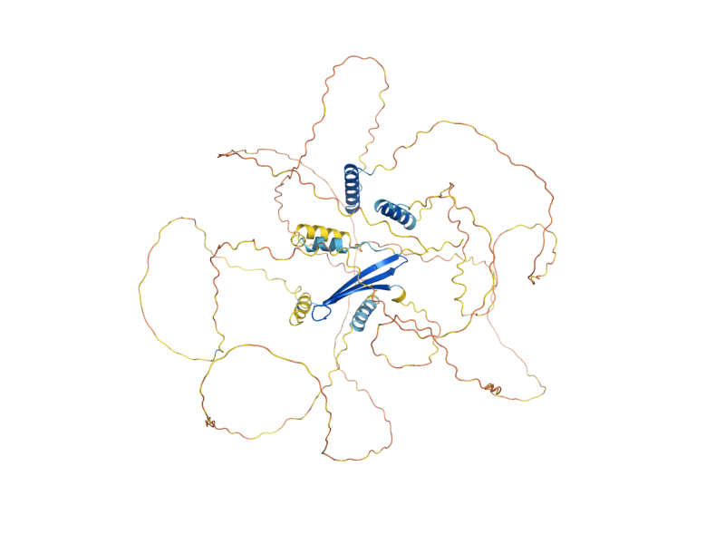 AlphaFold predicted structure of MSC3