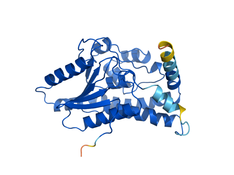 AlphaFold predicted structure of ECI1