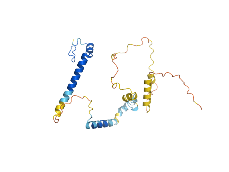 AlphaFold predicted structure of YHC1