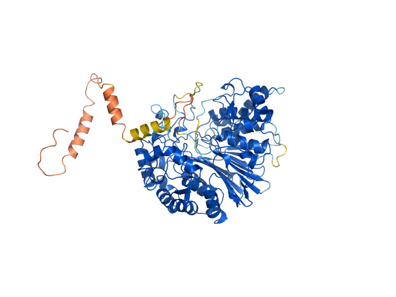 AlphaFold predicted structure of ECM38
