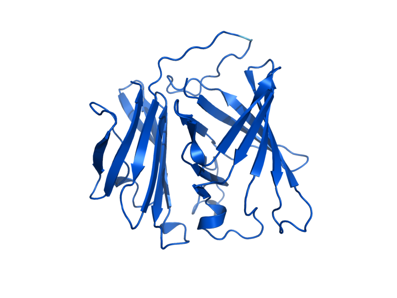 AlphaFold predicted structure of HRI1