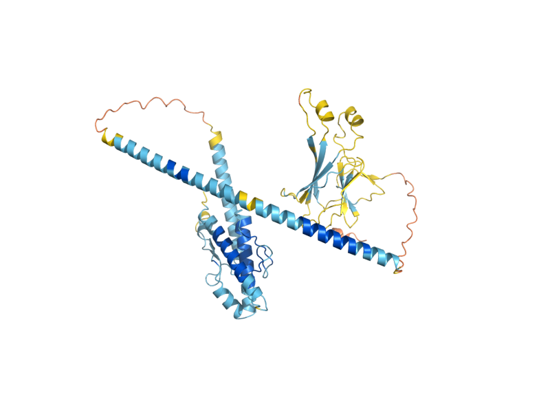 AlphaFold predicted structure of VPS38